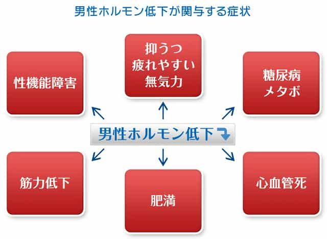 男性ホルモンの低下